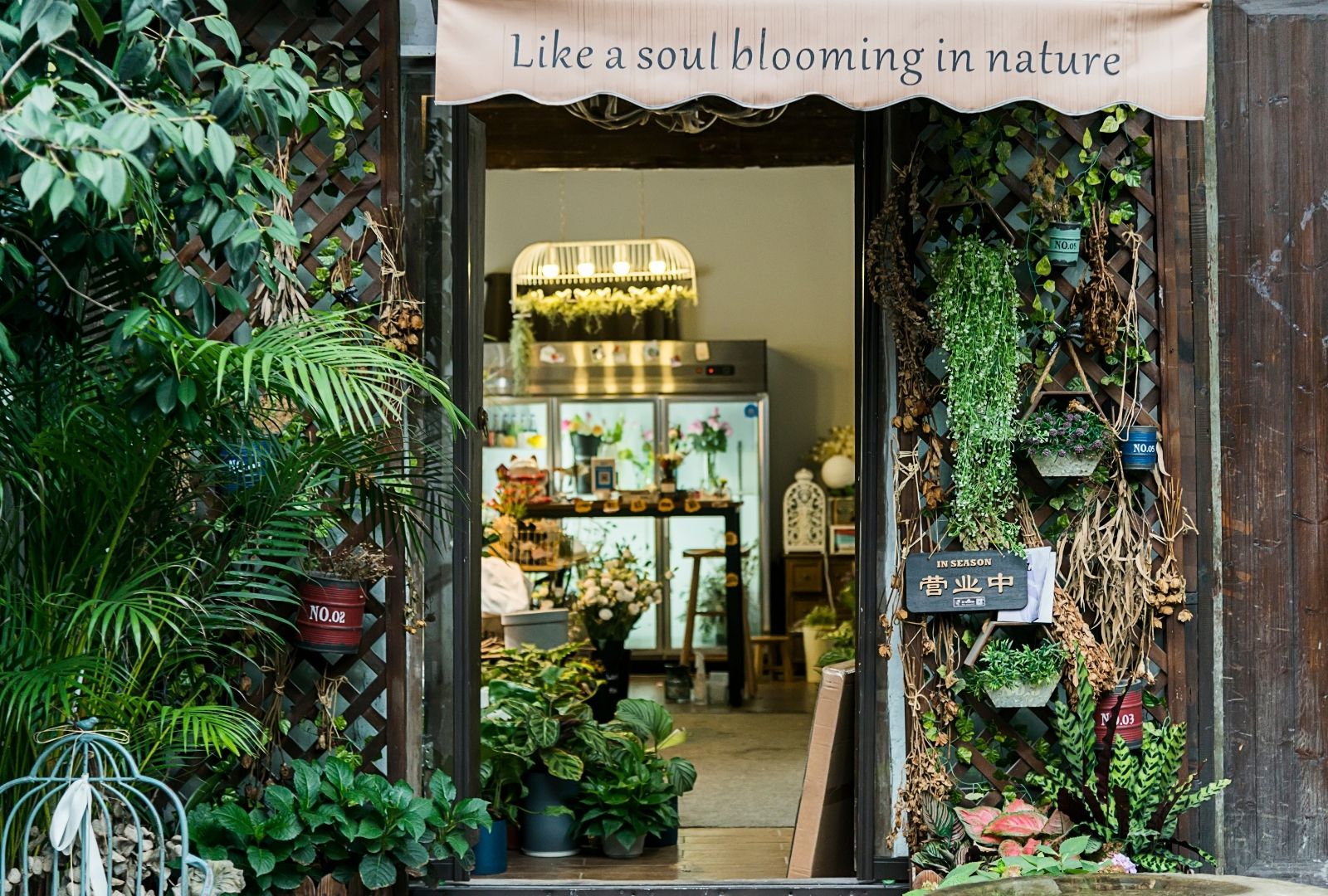 愛花屋alfa House Hk Ltd 嗡嗡樹 Buzztrees